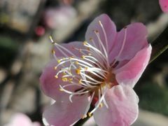 -青岛中山公园-索道售票处