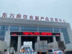 -东方鼎信农副产品交易中心