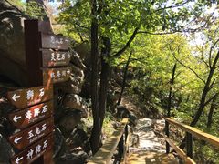 -吉林市朱雀山国家森林公园