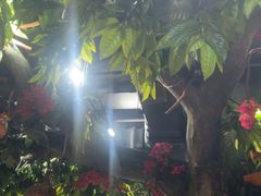 -草原塞蛮羊火锅城(港湾店)