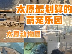 -太原动物园