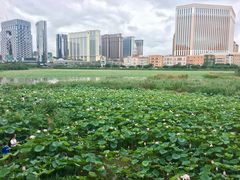 -龙环葡韵住宅式博物馆