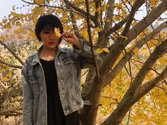 -千年银杏谷文化旅游区