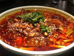 -陈麻婆豆腐总店