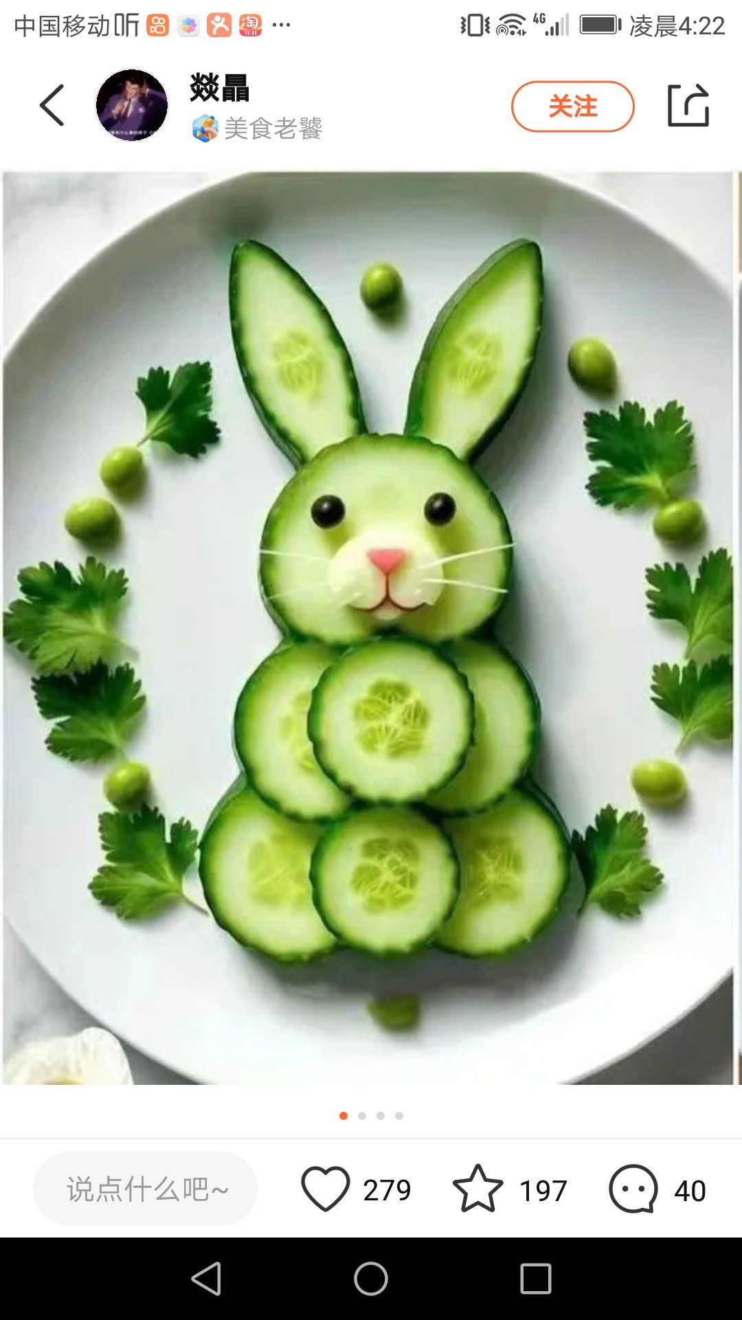 这个黄瓜小兔子拼盘太有创意了,太美了,要
