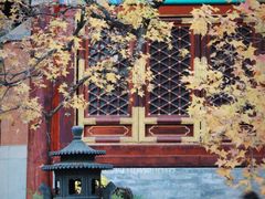 -香山公园