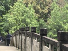 -重庆彩云湖湿地公园