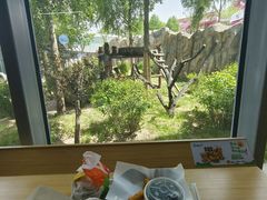-青藏高原野生动物园