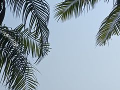 -碧桂园十里银滩