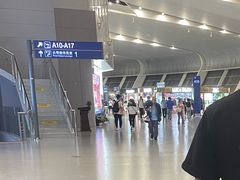 -合肥新桥国际机场-航站楼