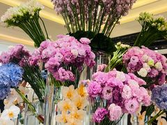 -羿庭 Peacock Alley(上海外滩华尔道夫酒店)