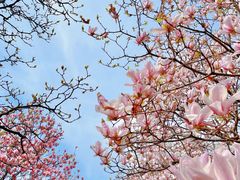 -我家小院川菜馆(杨家湾地铁站店)