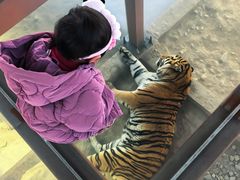 -栾川竹海野生动物园