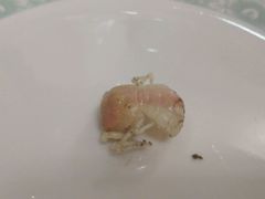 -北方饺子王·海肠捞饭·海鲜锅(山大店)