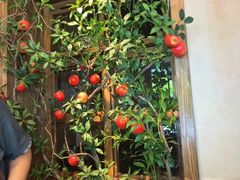 -渝乡人家川菜馆(南京路店)