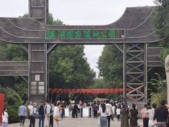 -溱湖国家湿地公园