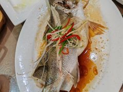 -百年银屏蚝烙·潮汕菜·非遗(乐山店)