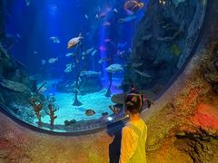 -沈阳海洋探索中心