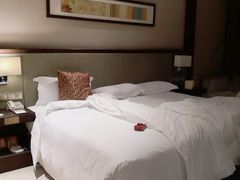 -深圳湾科技园丽雅查尔顿酒店