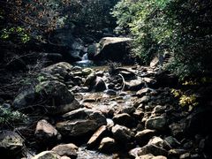 -大明山自然探索公园