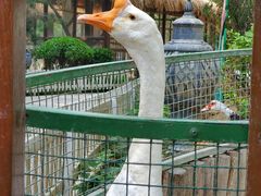 -南宫五洲植物乐园