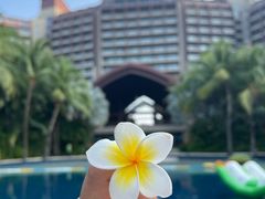 -三亚湾海居铂尔曼度假酒店
