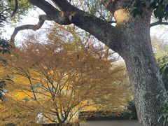 -北山街历史文化街区