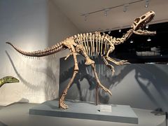 -自贡恐龙博物馆