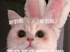 -万达广场(武汉菱角湖店)