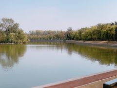 -莱西月湖公园