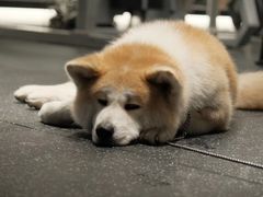 -YCHL Studios健身工作室(市二宫店)