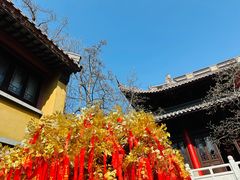 -灵谷景区