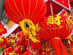 -溪岸路花鸟市场