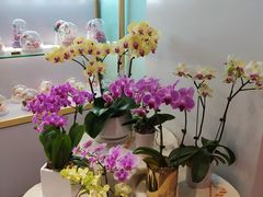 -EPOQUE·一刻花店(兴业太古汇店)