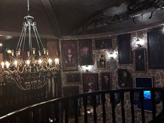 -雪灵魔法世界SHELLY’S TAROT(大良桂畔里店)