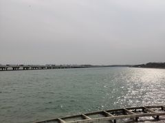 -丁香湖公园