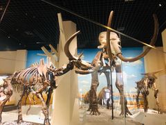 -国家自然博物馆