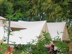-深圳市中科院仙湖植物园