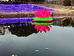 -大塘金香草谷