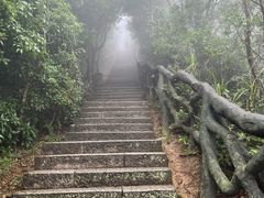 -梧桐山风景名胜区