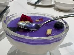 -丁老爷子苏香圆