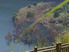 -黄埔油麻山森林公园