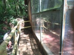 -广东茂名森林公园