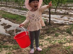 -杨柳青园艺科技博览园