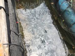 -海上驿站渔家菜馆