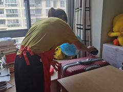 -铃雲家政·保姆·育儿嫂·钟点工