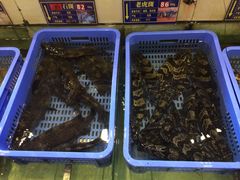 水产区-琼菜王(南海店)