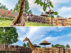 -济南野生动物世界