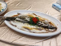 清蒸大白鱼-满汉楼(安发桥店)