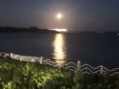 -琴岛之星摩天轮